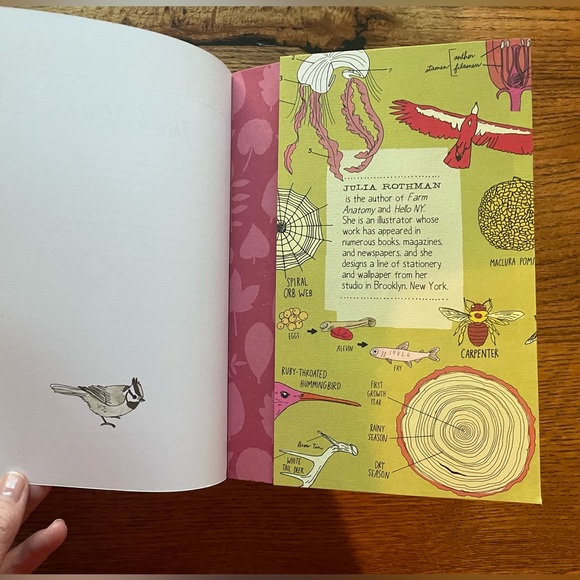 Nature Anatomy by Julia Rothman book. Excellent condition. - Picture 5 of 8